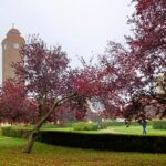 Führung - Gartenräume Krankenhaus West