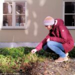 Frühlingsfit ins Gartenjahr - Vortrag und Workshop