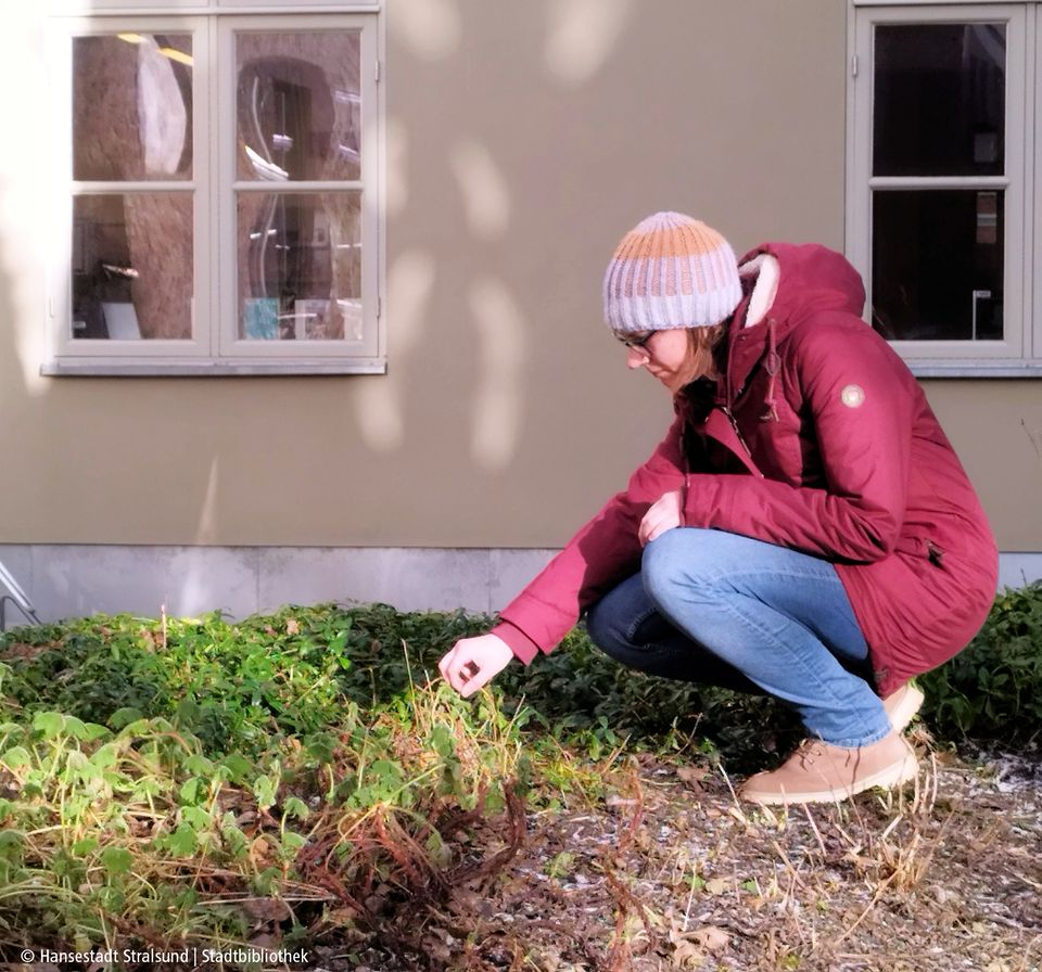 Frühlingsfit ins Gartenjahr - Vortrag und Workshop