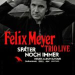 Felix Meyer | Später noch immer